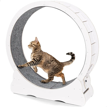 YODOLLA 35.8'' Cat Wheel for Indoor Cats, White