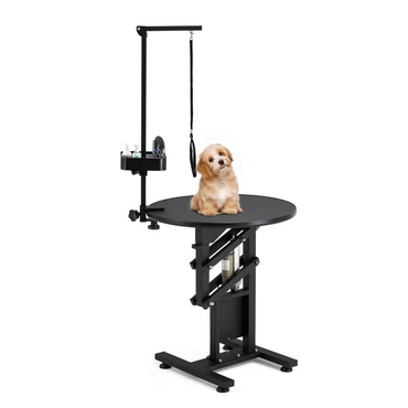 YODOLLA Electric Lift Dog Grooming Table with Foldable Arm