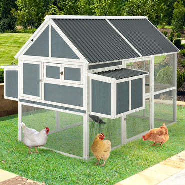 YODOLLA tall chicken coop for 10 chickens.