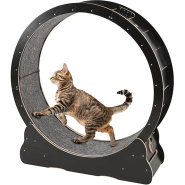 YODOLLA 43.3” Cat Exercise Running Wheel, Black