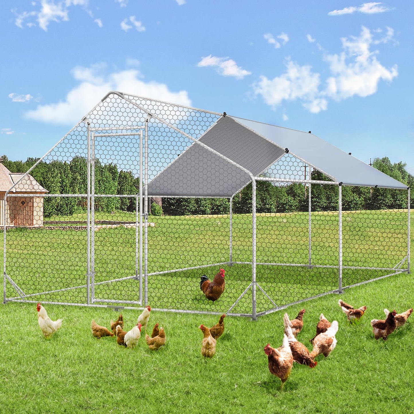 YODOLLA affordable chicken coop for 12