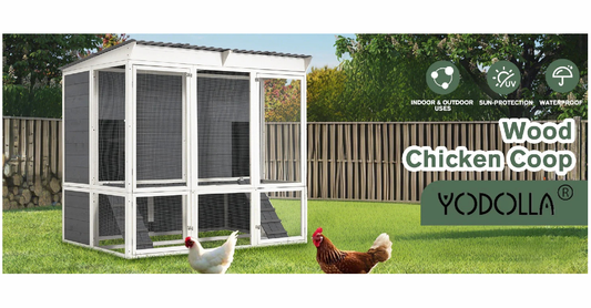 5 Unexpected Benefits of Having a Chicken Coop