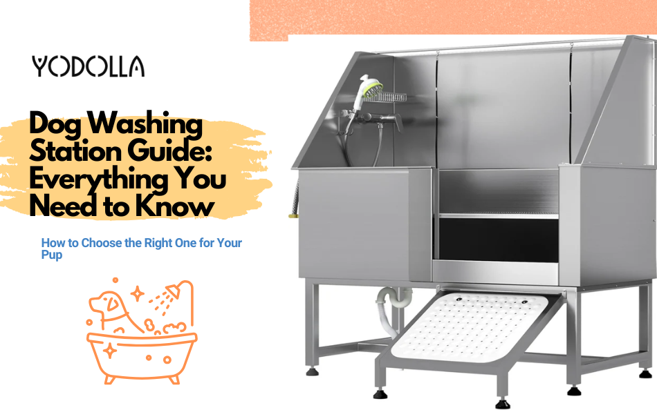 Dog Washing Station Guide: Everything You Need to Know