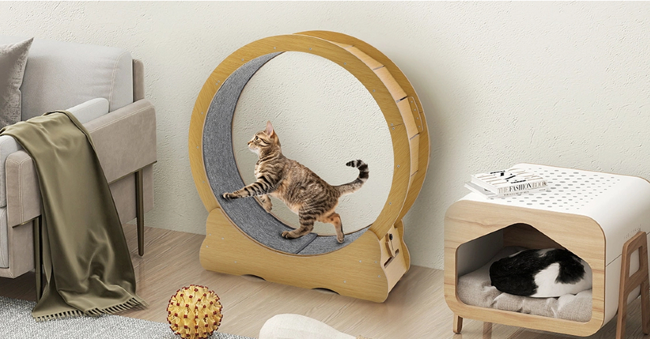 Why Every Cat Owner Needs a Cat Wheel: Benefits for Health & Happiness