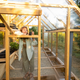 How to Make Money with a Greenhouse