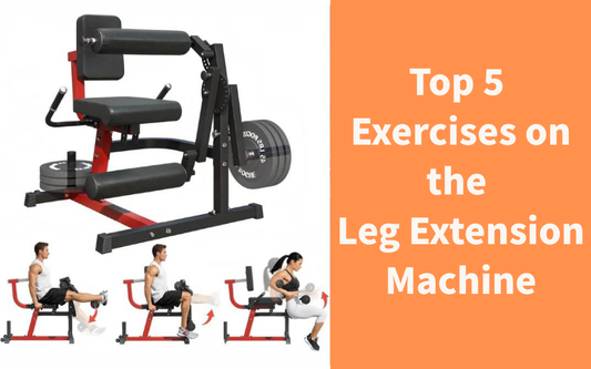 Top 5 Exercises on the Leg Extension Machine