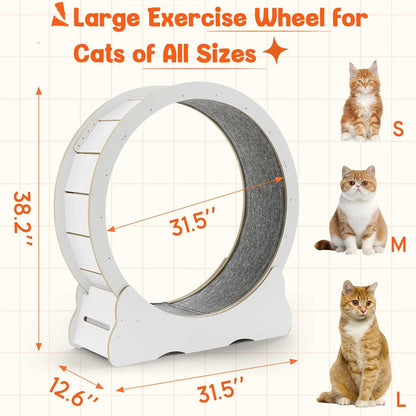 YODOLLA 35.8'' Cat Wheel for Indoor Cats, White