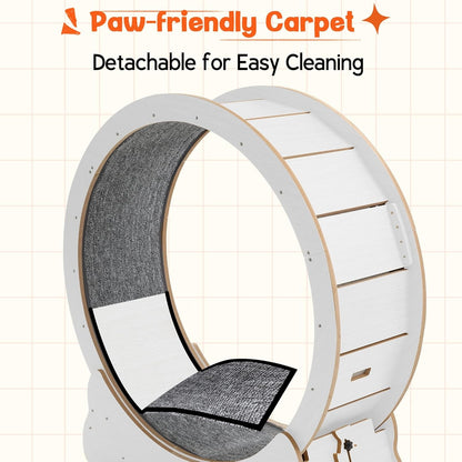 YODOLLA 35.8'' Cat Wheel for Indoor Cats, White