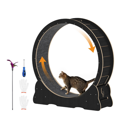 YODOLLA 39.3” Cat Wheel for Indoor Cats, Black