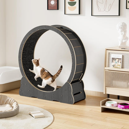 YODOLLA 39.3” Cat Wheel for Indoor Cats, Black