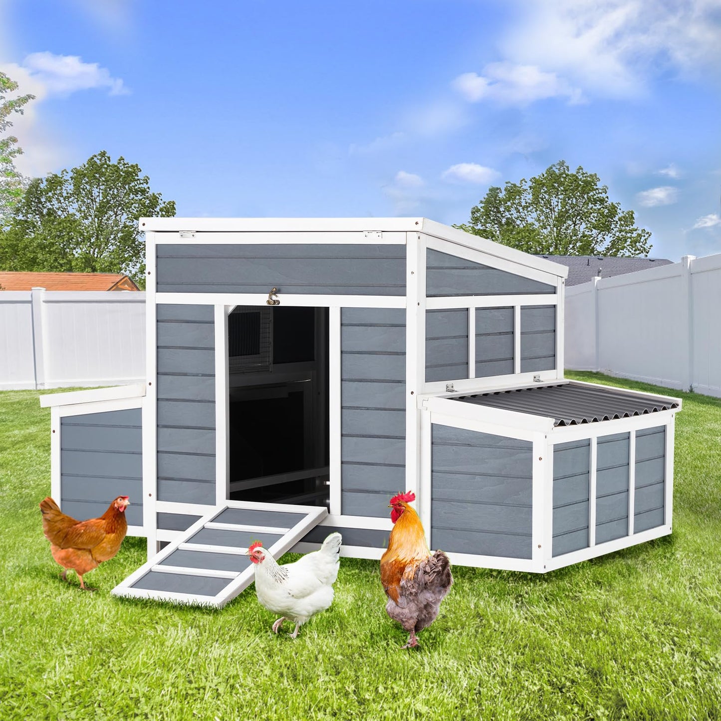 YODOLLA basic chicken coop for 6 chickens.