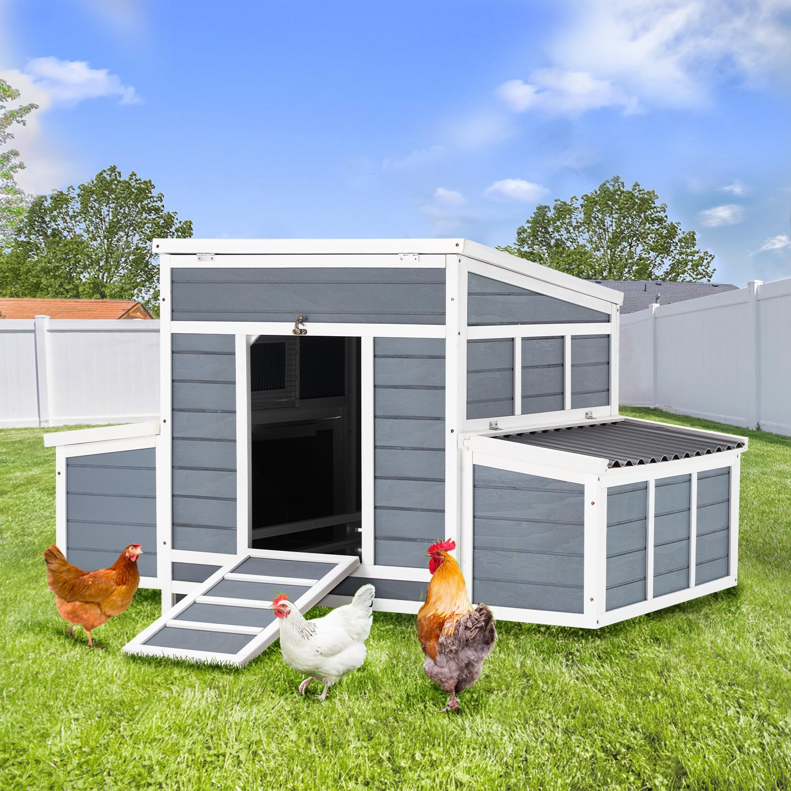 YODOLLA basic chicken coop for 6 chickens.