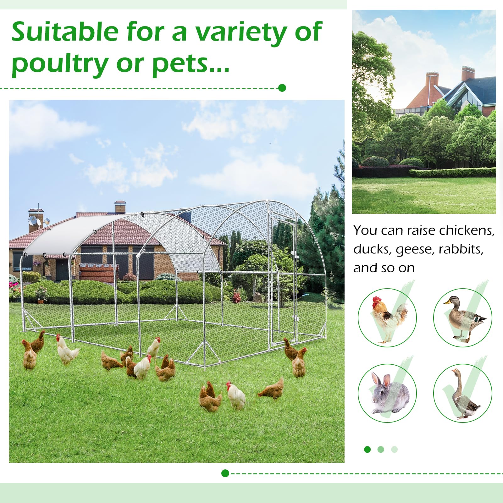 YODOLLA spacious chicken coop for 20 birds